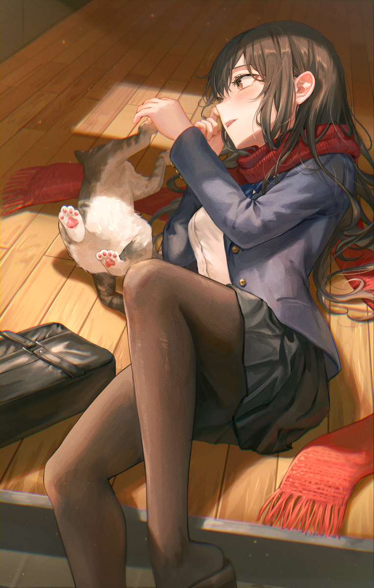 猫和女孩