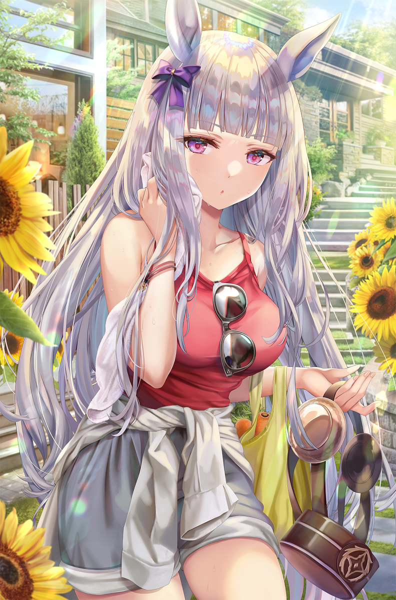 某个夏日的戈尔西