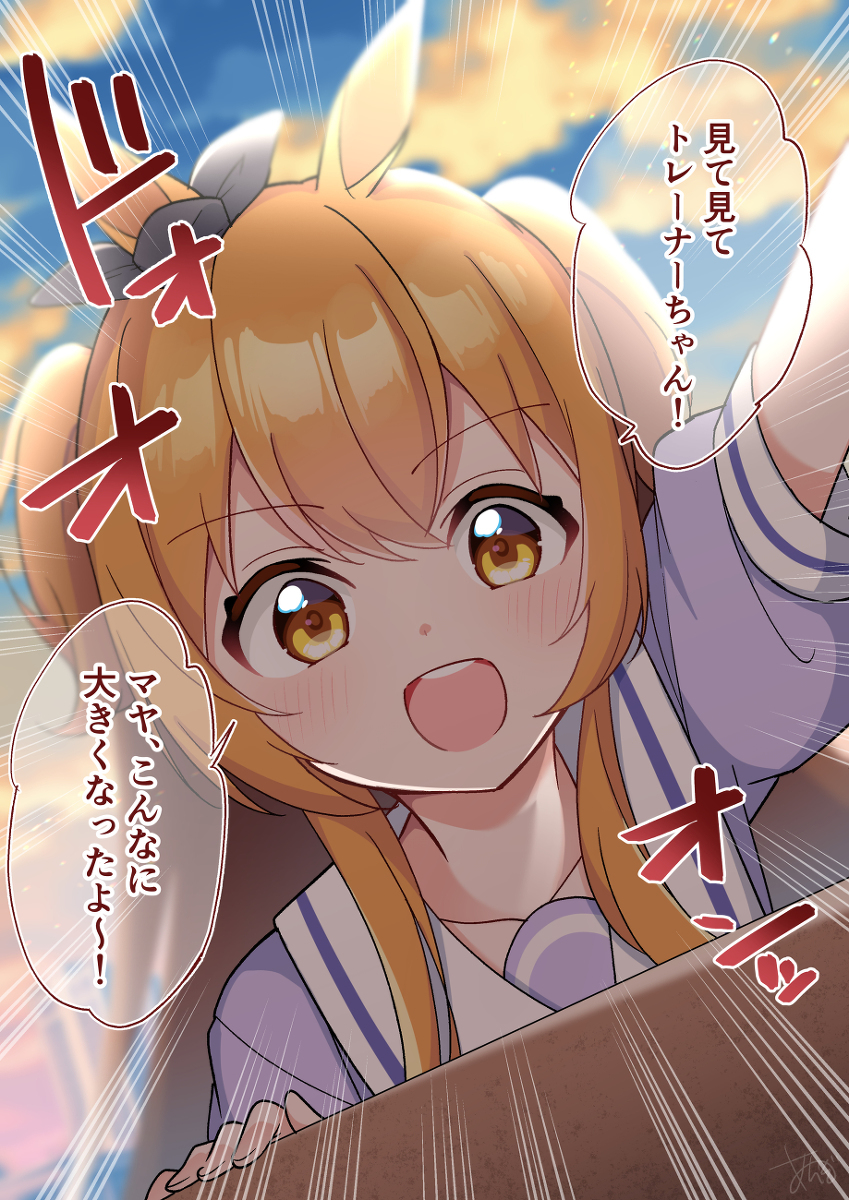 马娘总结 ②