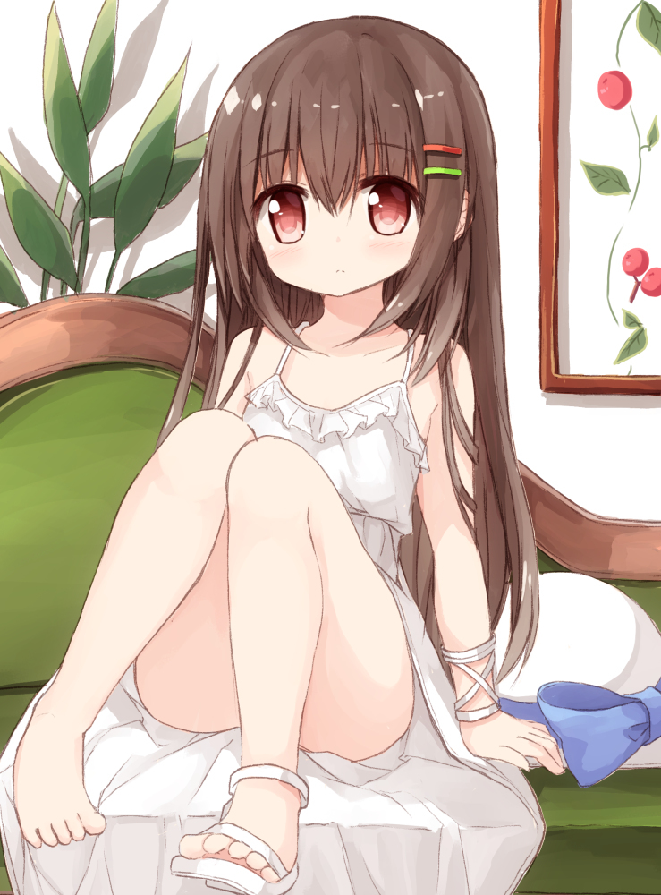 Twitter pawoo总结2018-8