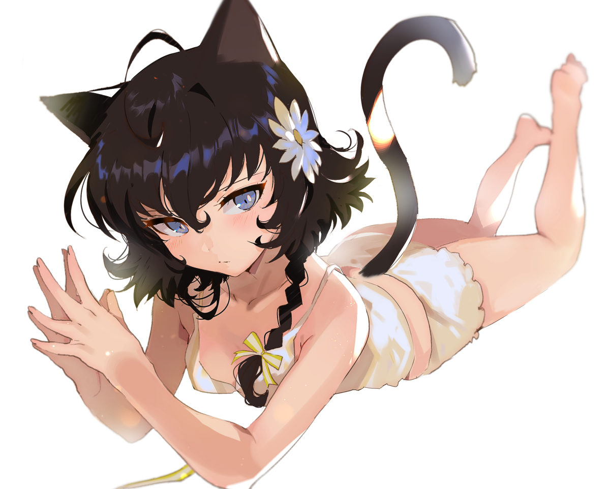 总结了 ⑤