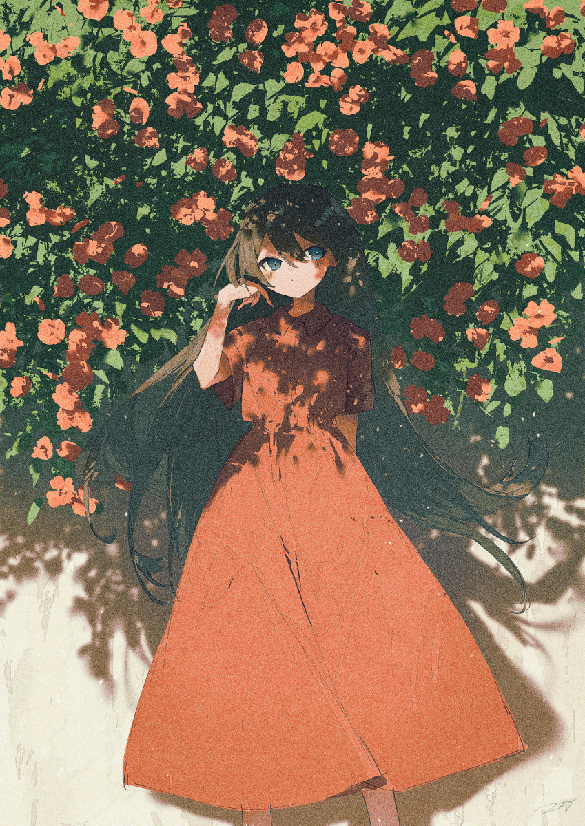 红色和花朵