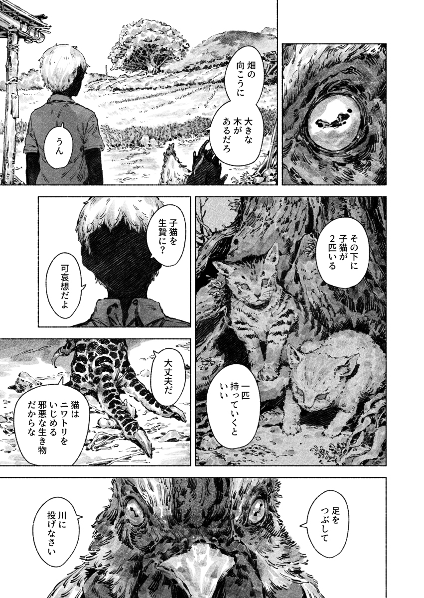 安迪