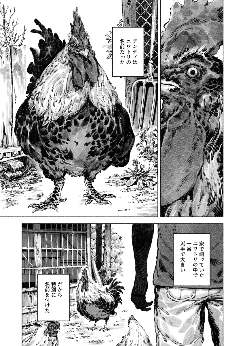 安迪