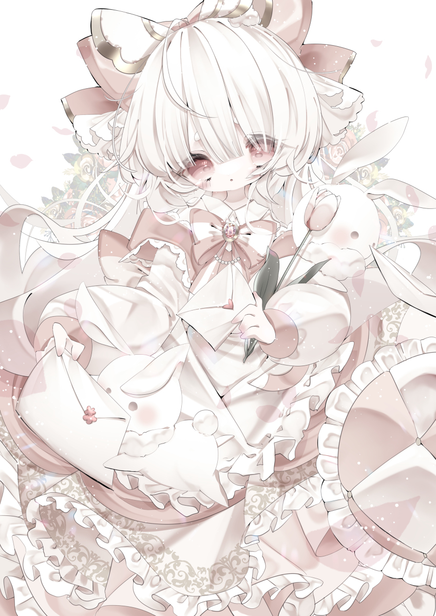 兔子