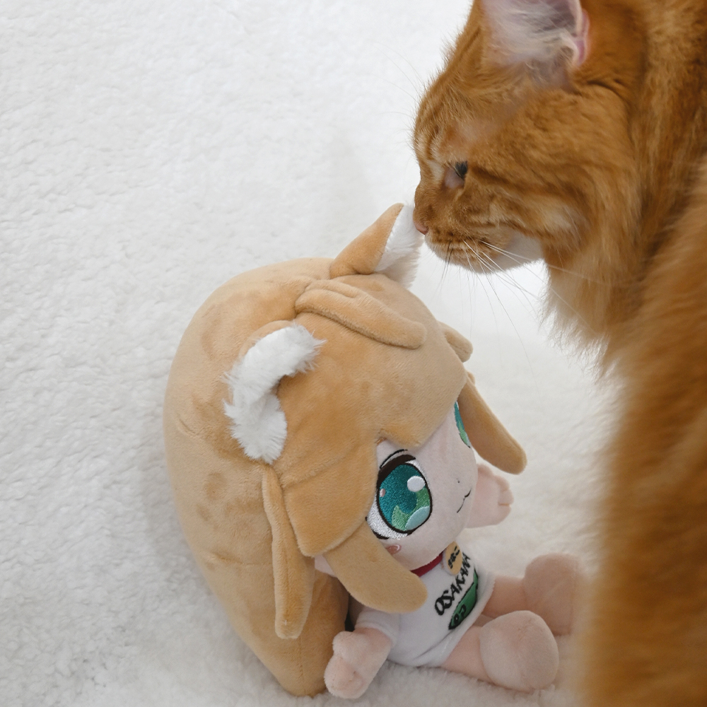 大布娃娃🐈
