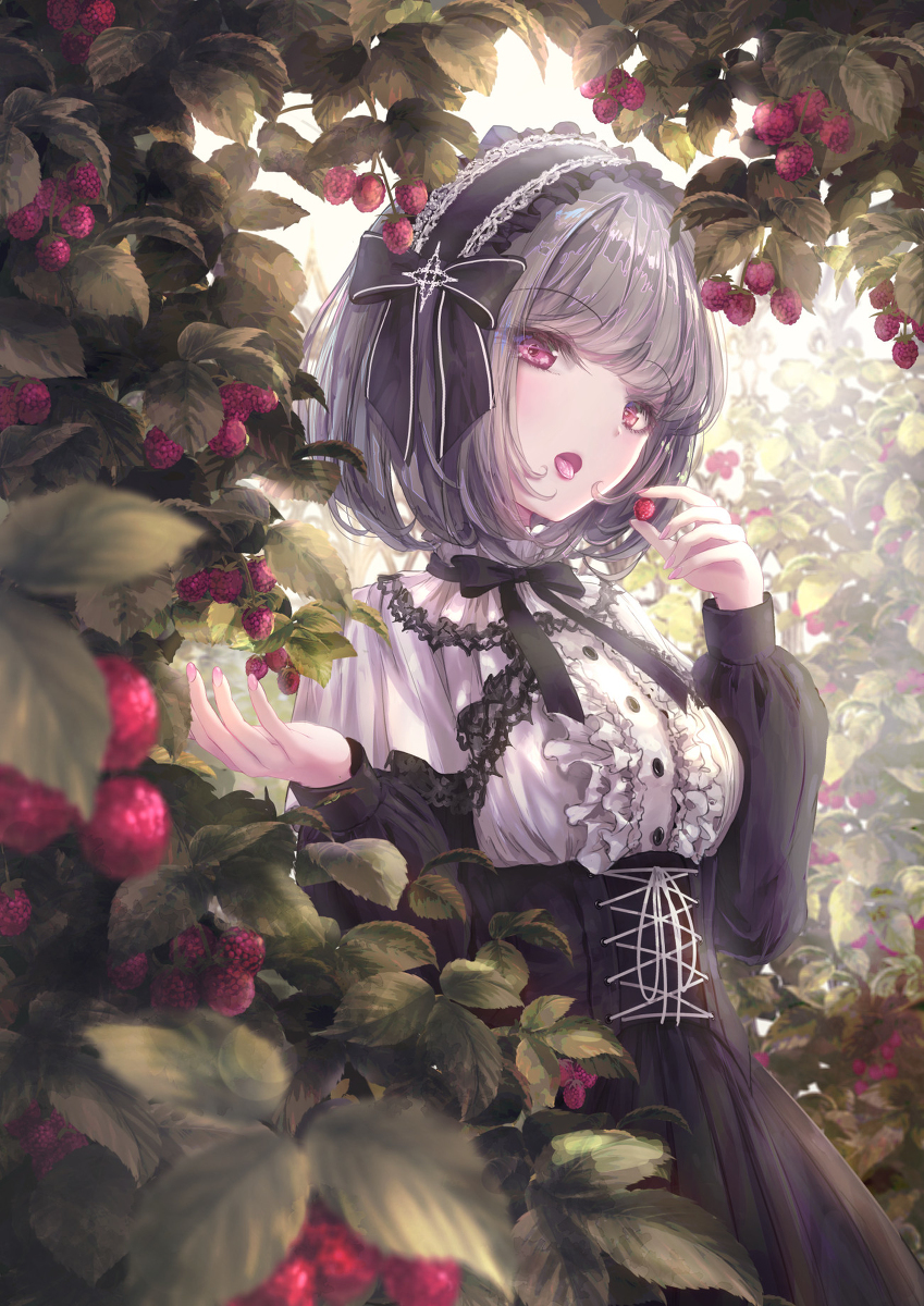 一把树莓