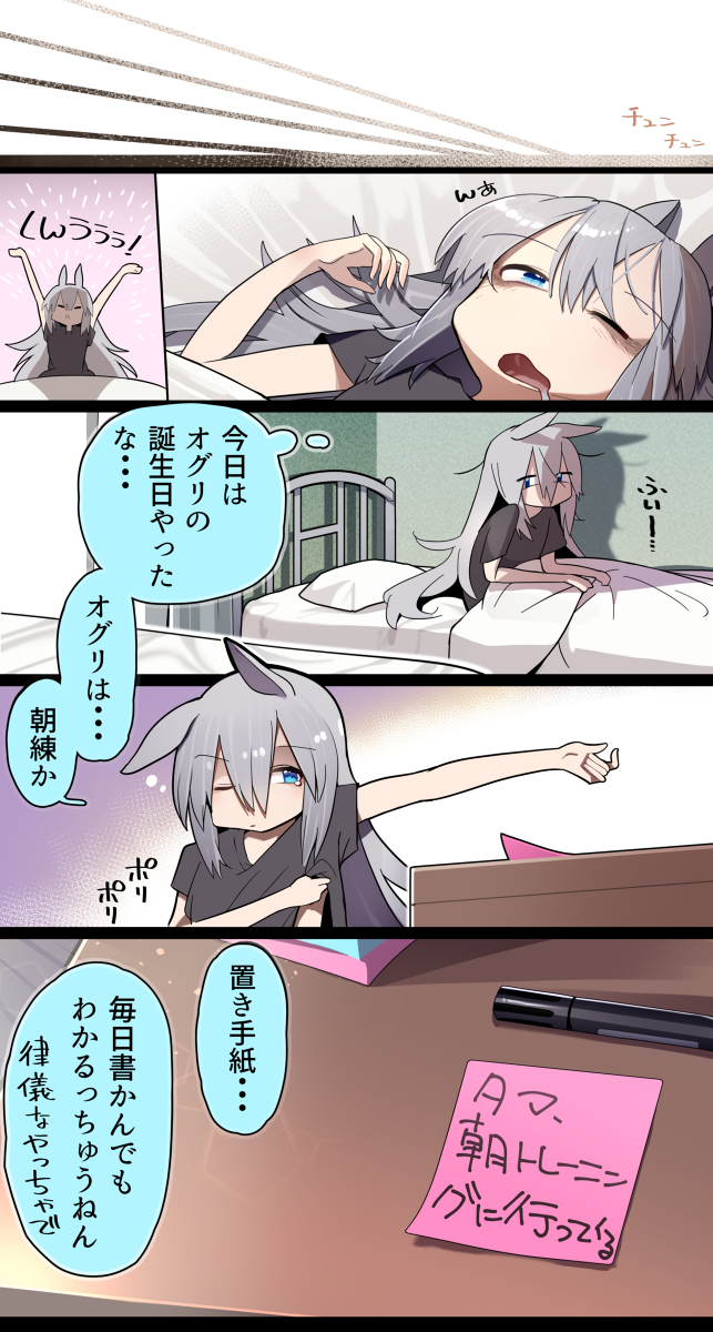 奥格里帽和特别的日子