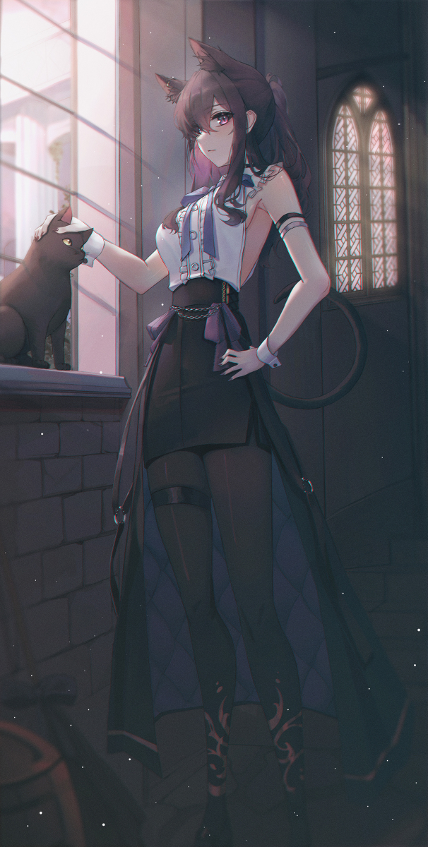 猫