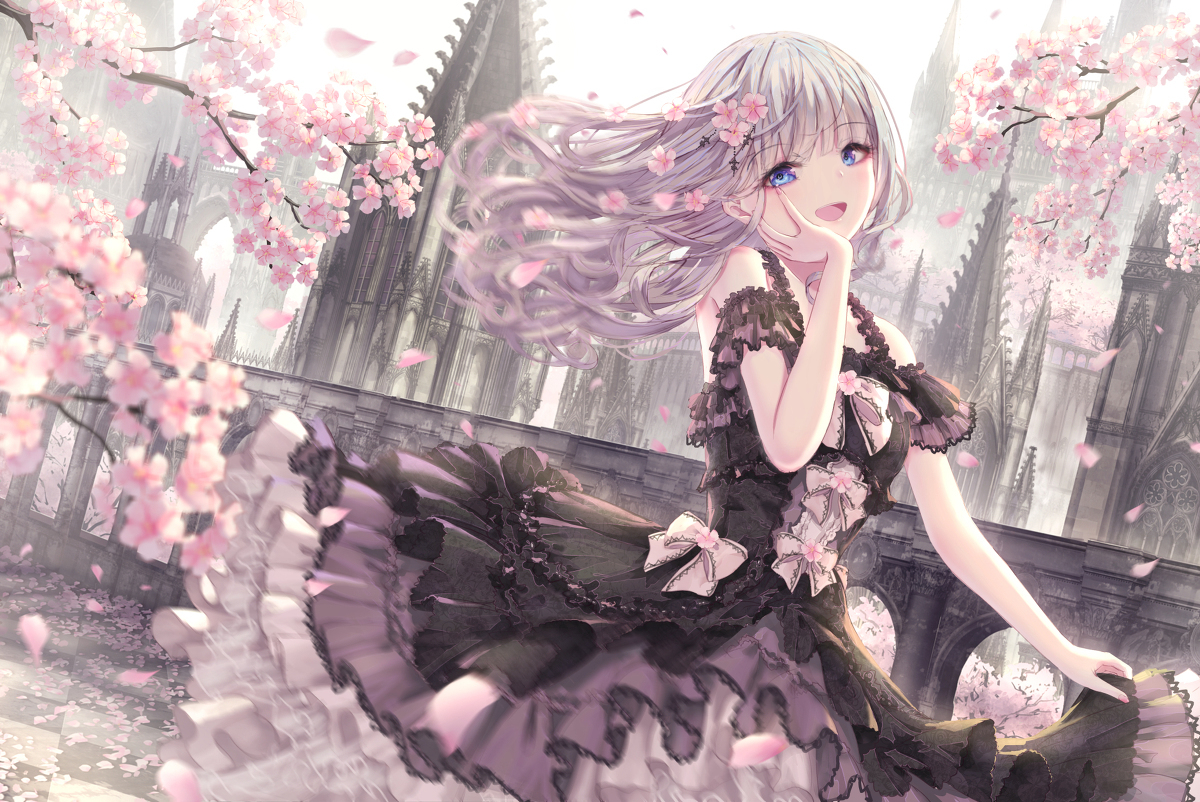 Cherry blossoms