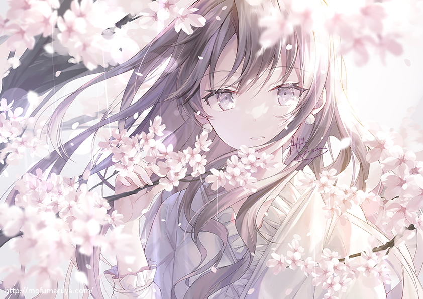 樱雨