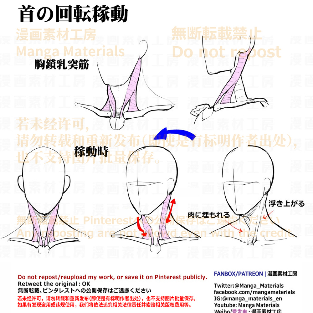 个人笔记: 颈部可旋转