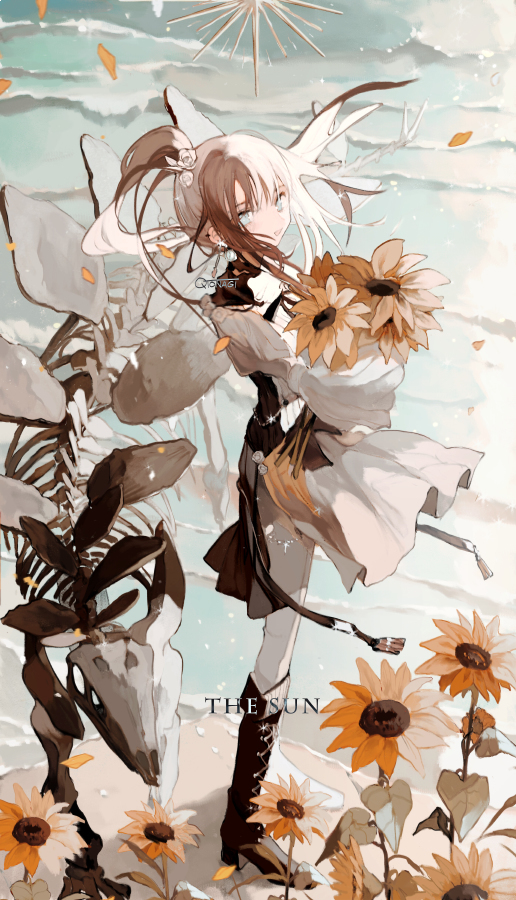 The sun