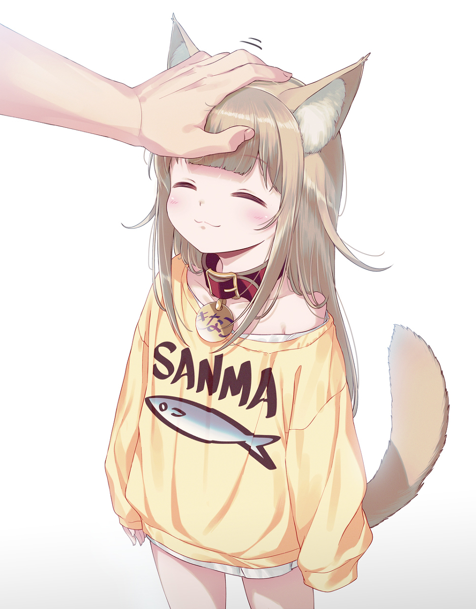 想要抚摸的蘑菇🐈🐾