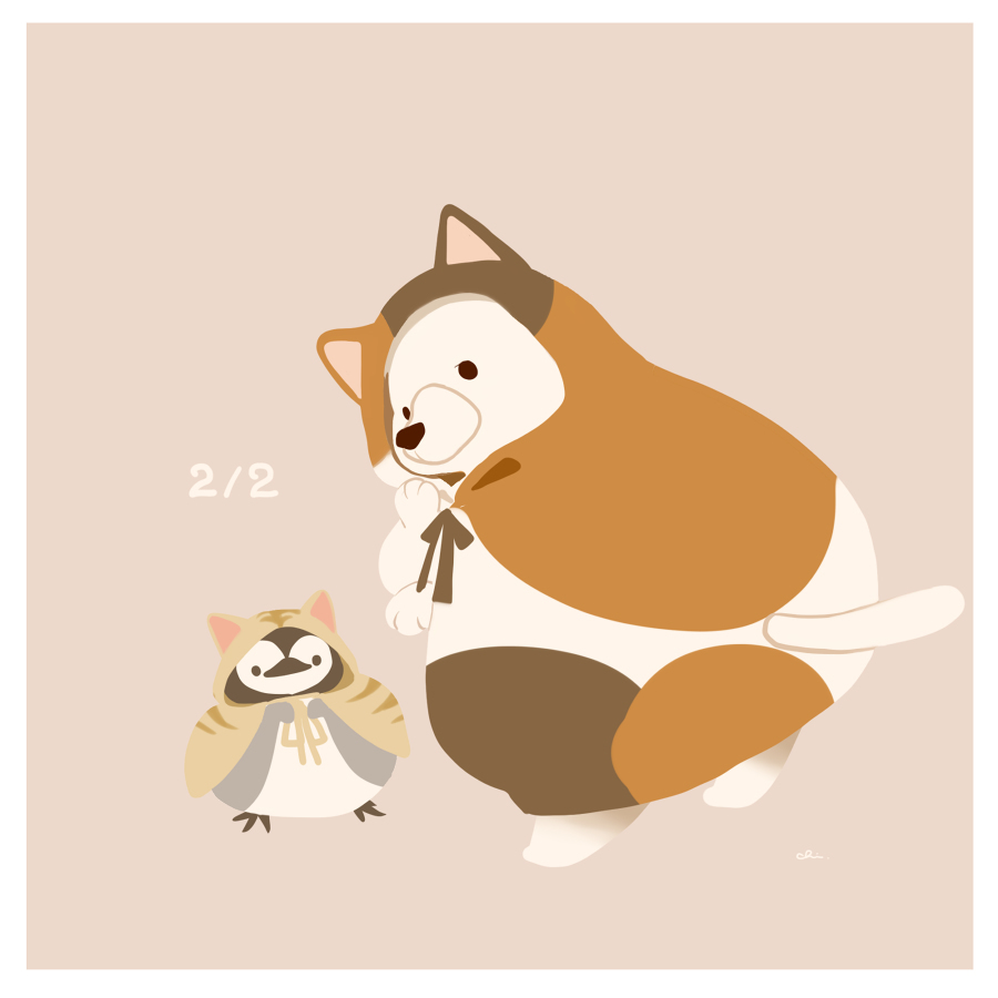 戴猫