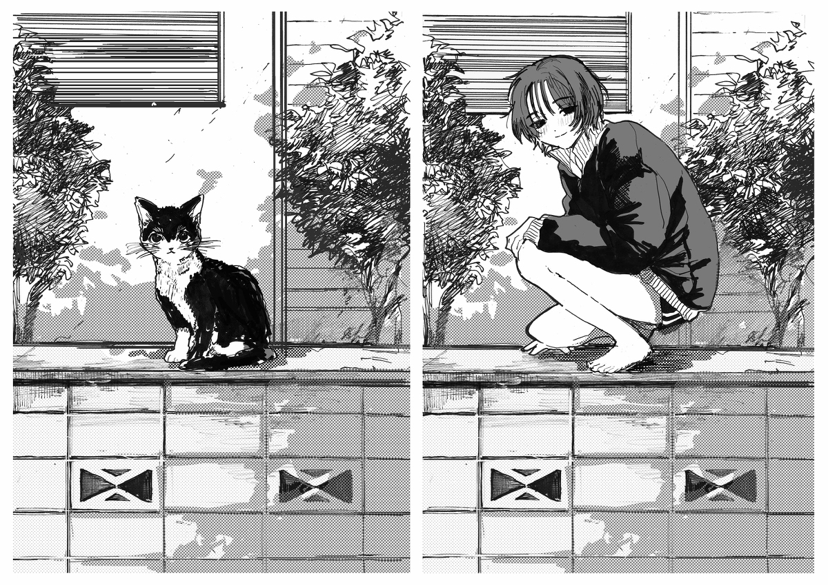创作猫男孩的画总结 ②