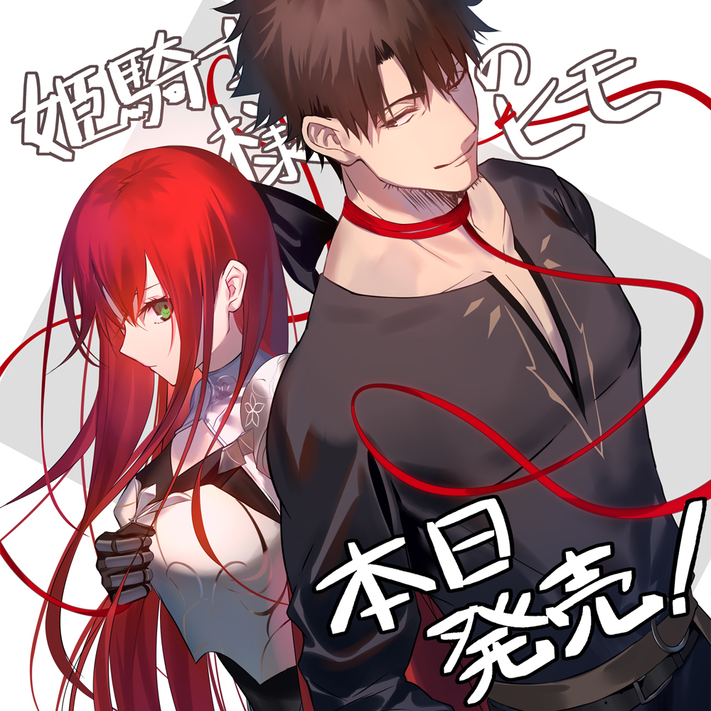 公主骑士的鸭子