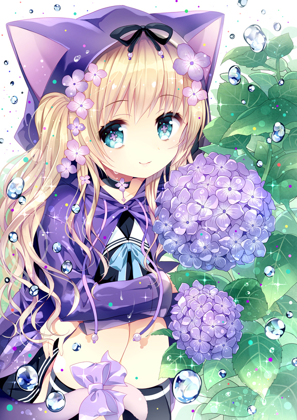 猫和紫阳花