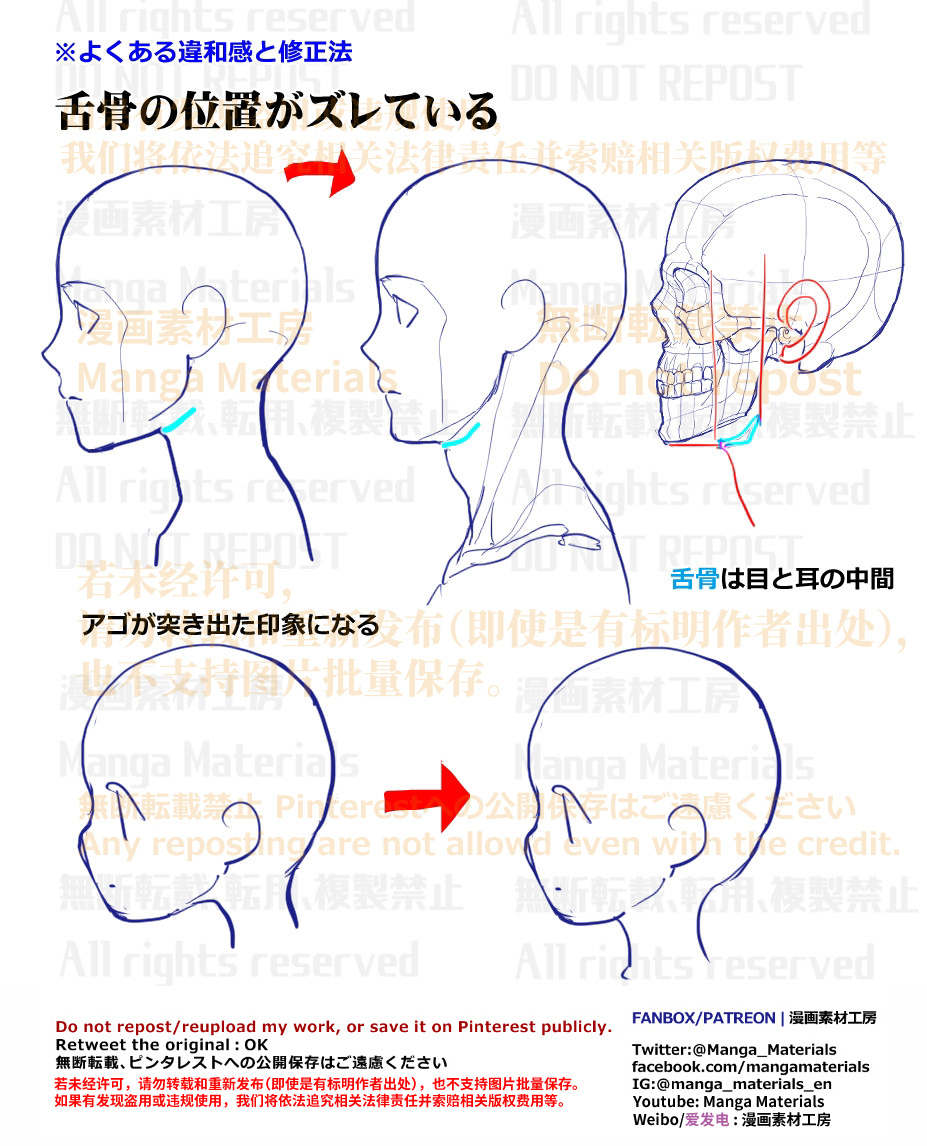 个人笔记: 舌骨