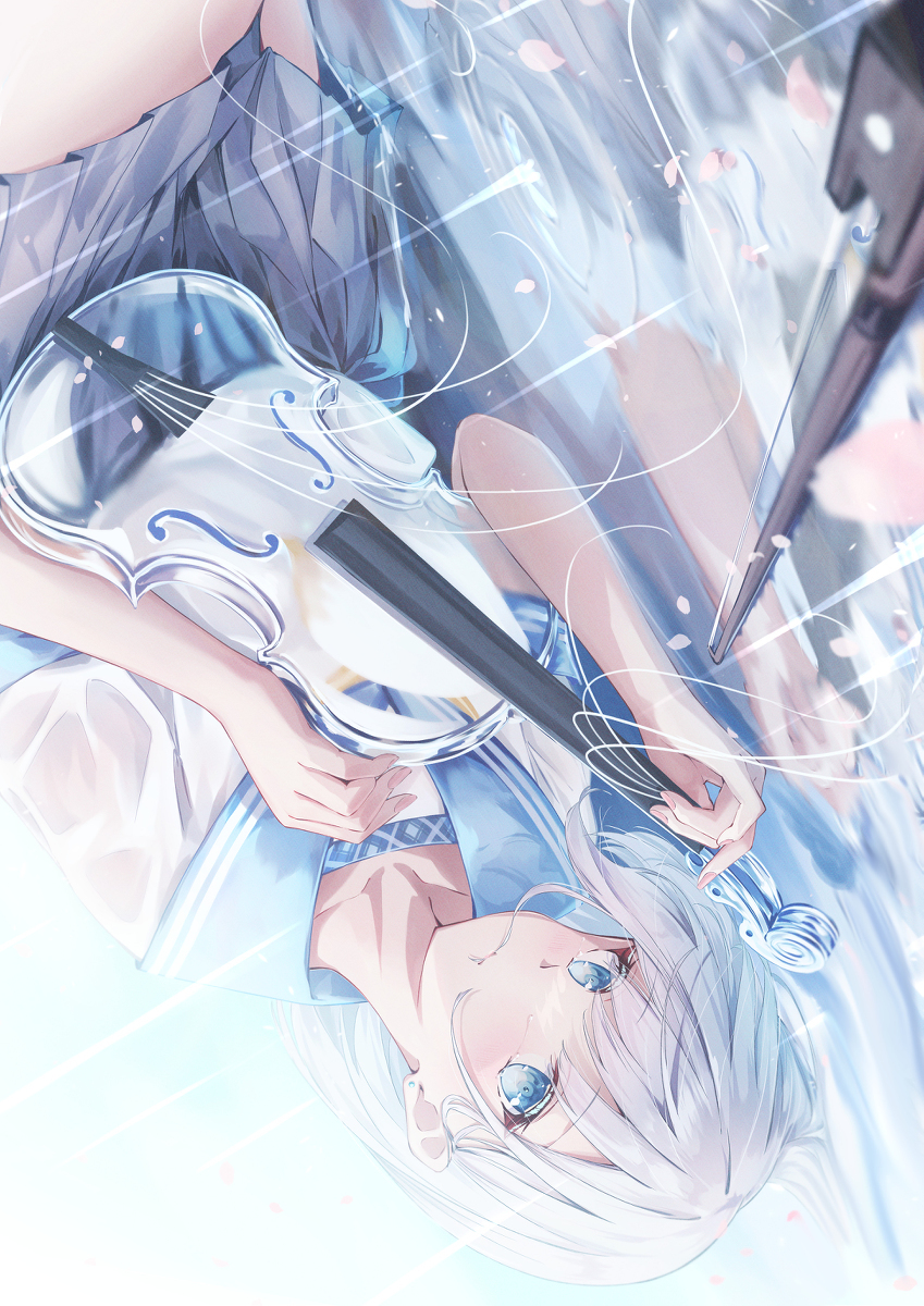 Violin