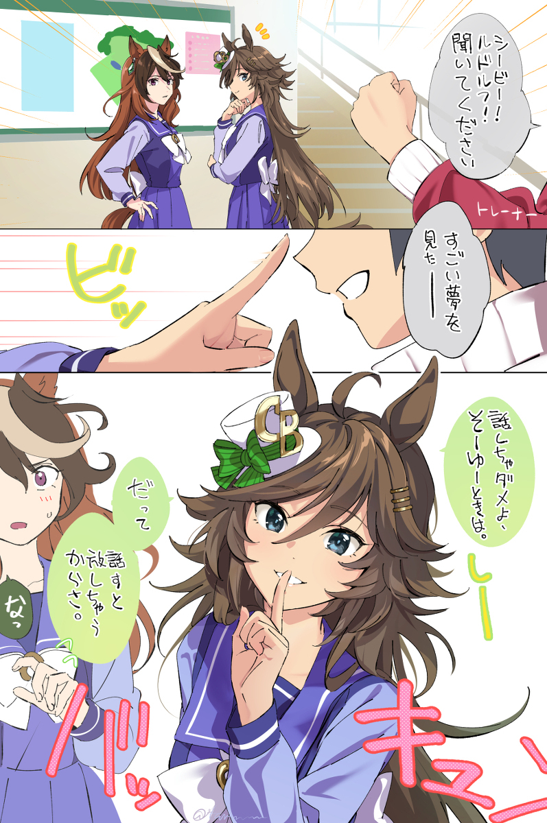 西比总结 ②