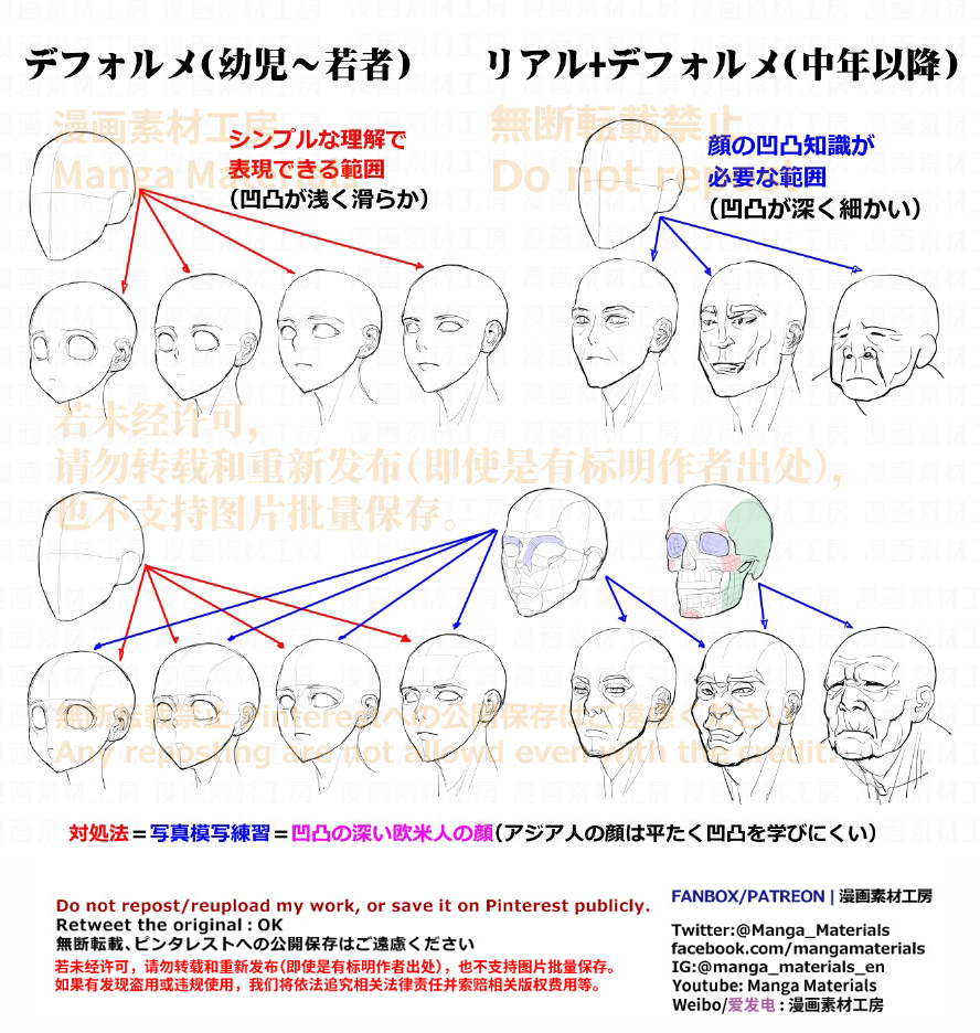 个人笔记: 不同年龄、骨骼的面部特征