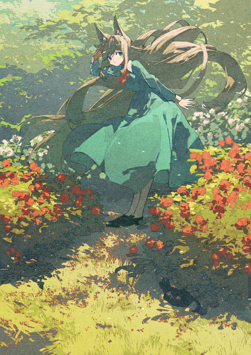 黑猫哪里