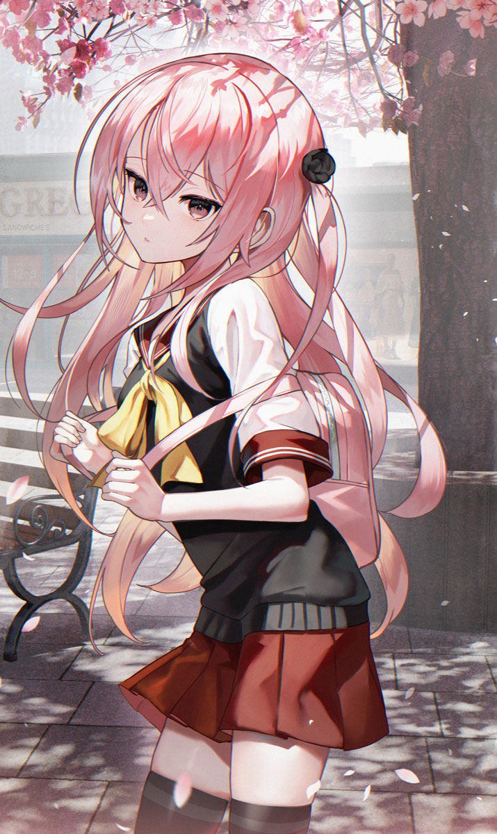 朱朱先生