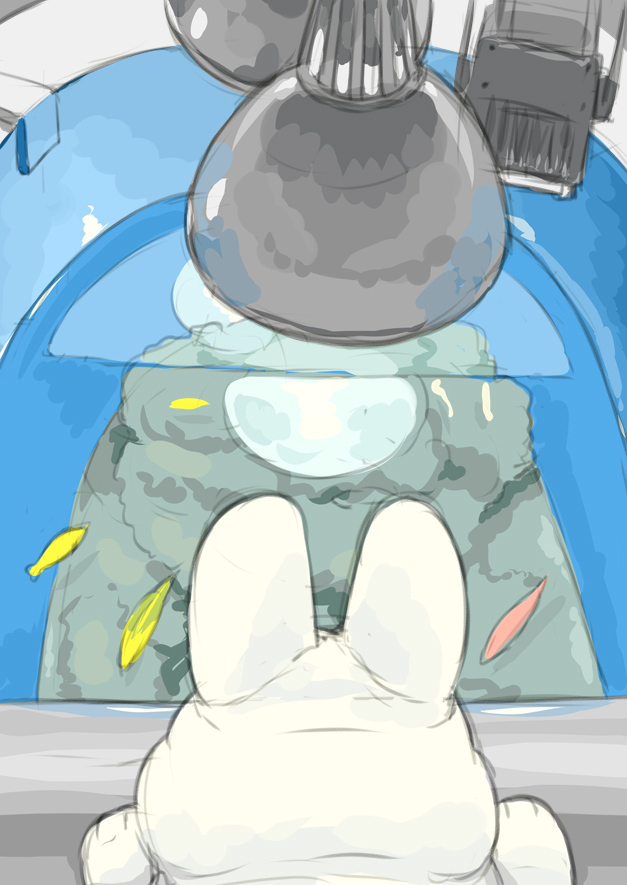 兔子和水族馆