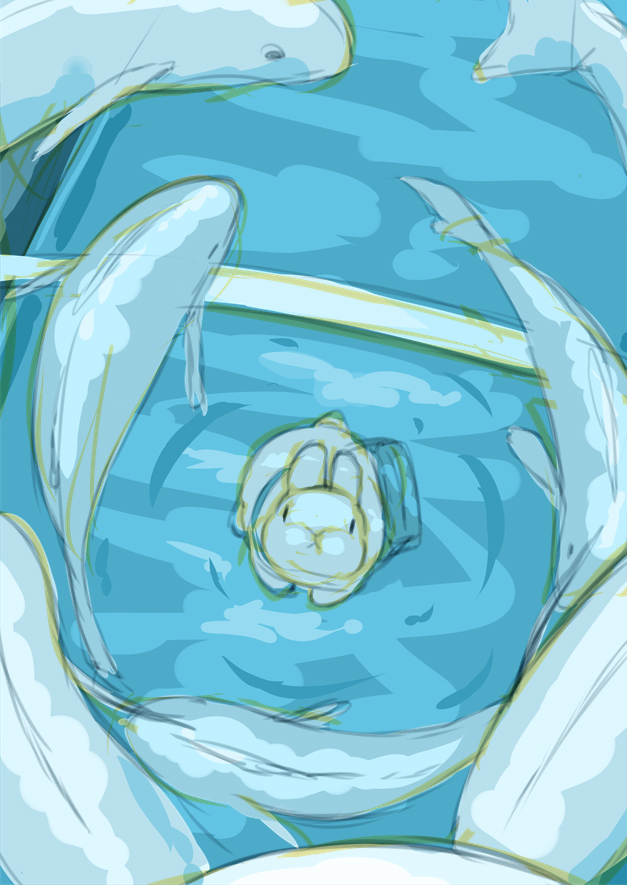 兔子和水族馆
