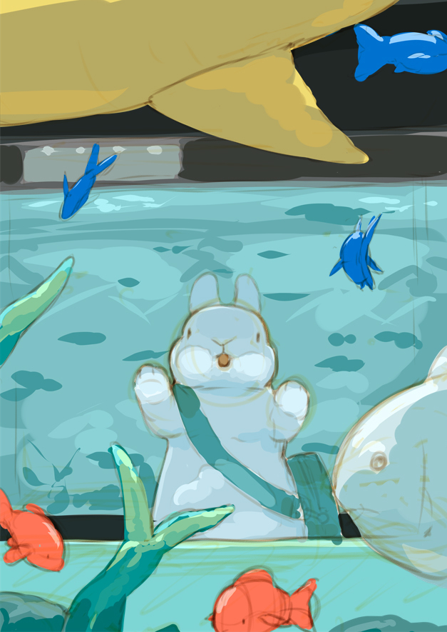 兔子和水族馆