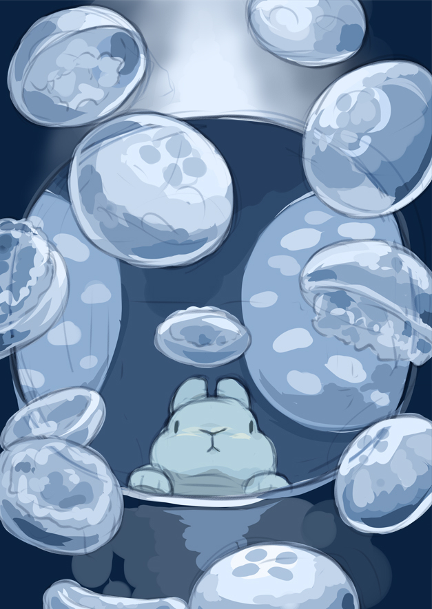 兔子和水族馆