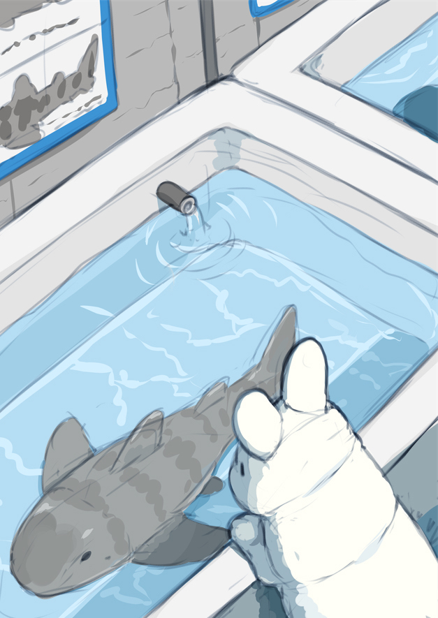 兔子和水族馆