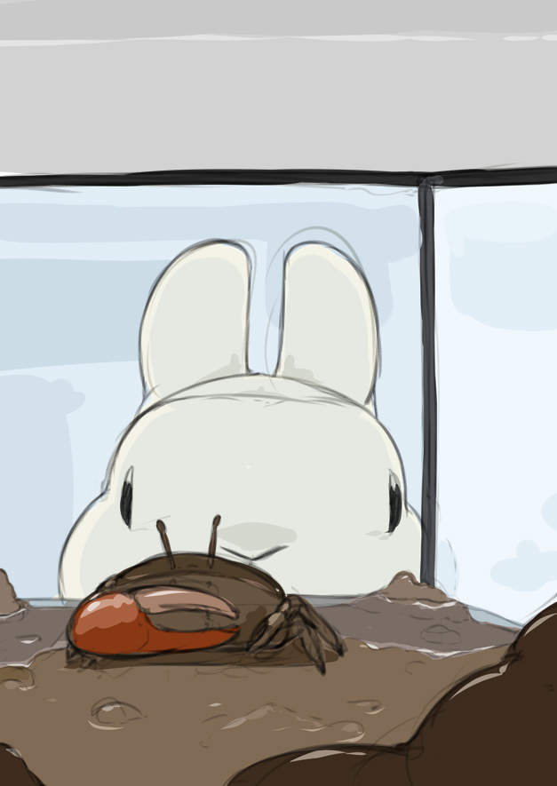 兔子和水族馆