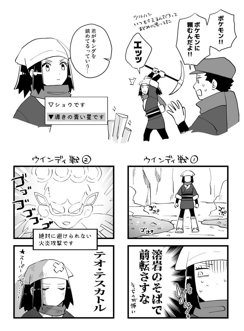 PKMNLOG6邮购的通知