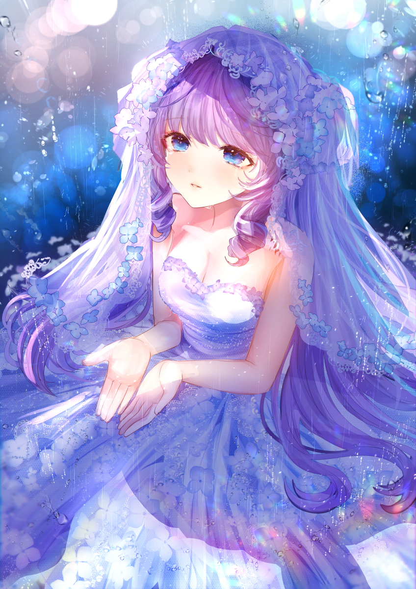 紫阳花的妖精