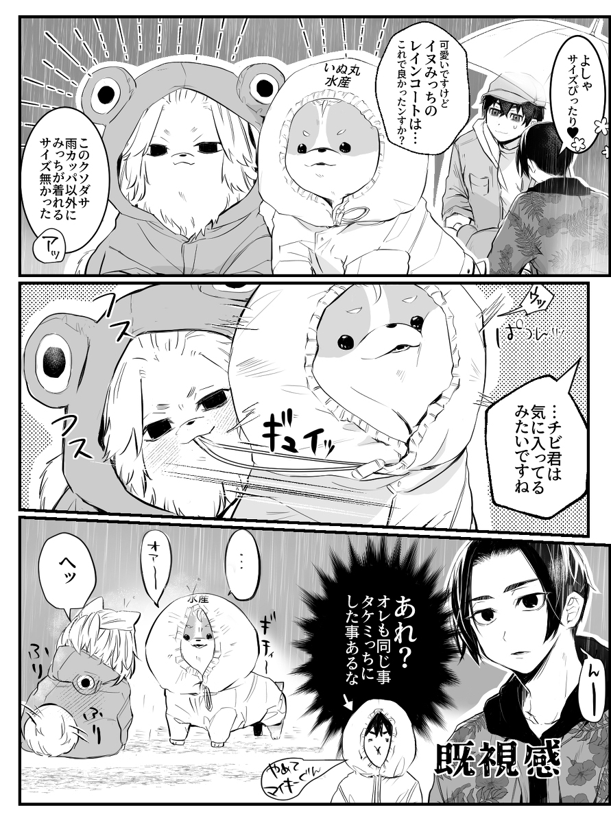 同居的迈武先生家的汪子 ③