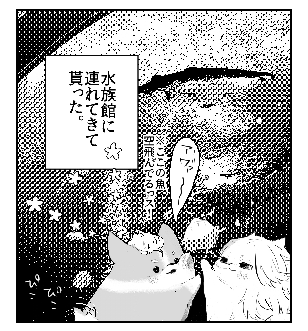 同居的迈武先生家的汪子 ③