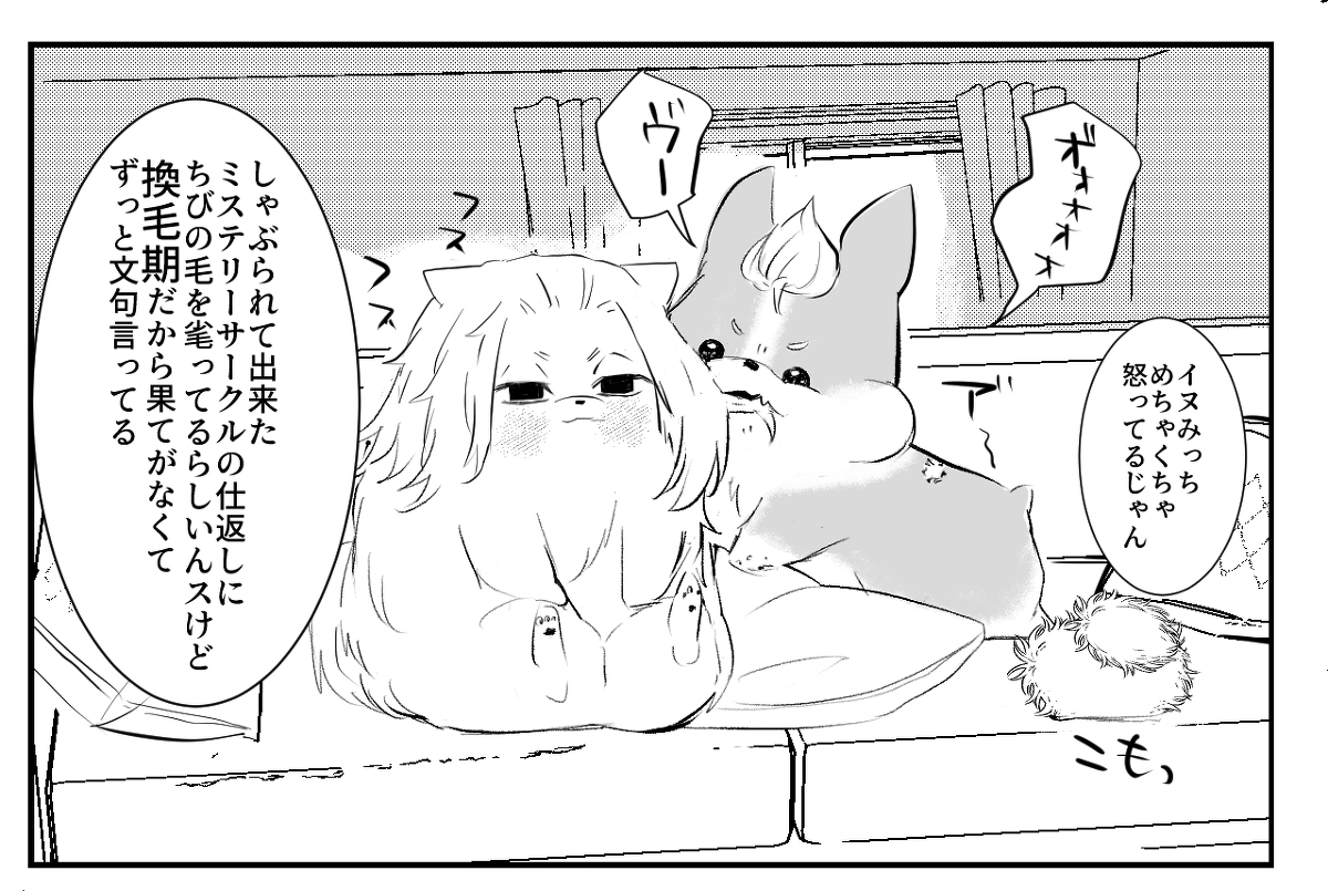 同居的迈武先生家的汪子 ③