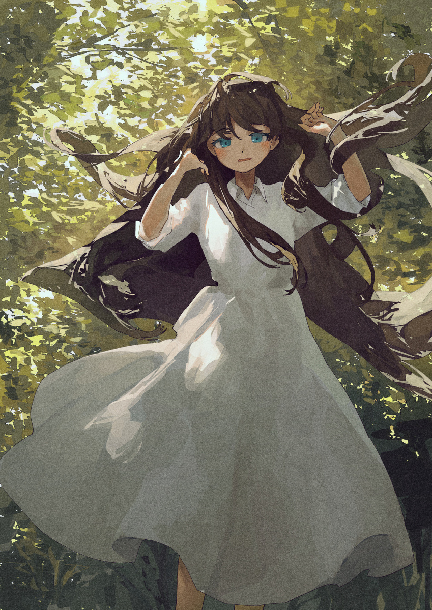 飘飘