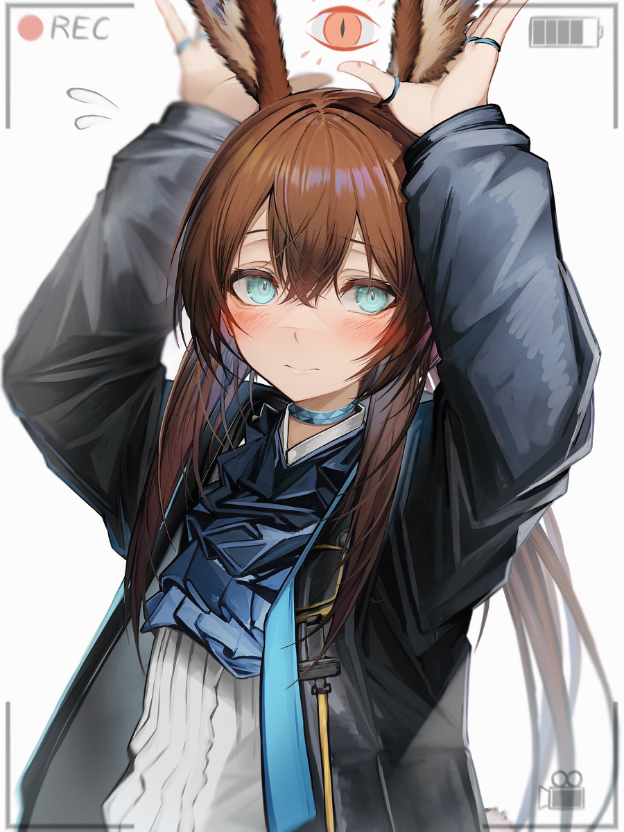 アーミヤ认为ぴょん