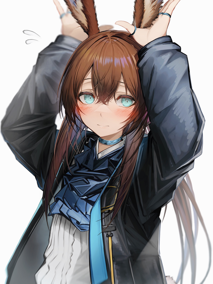 アーミヤ认为ぴょん