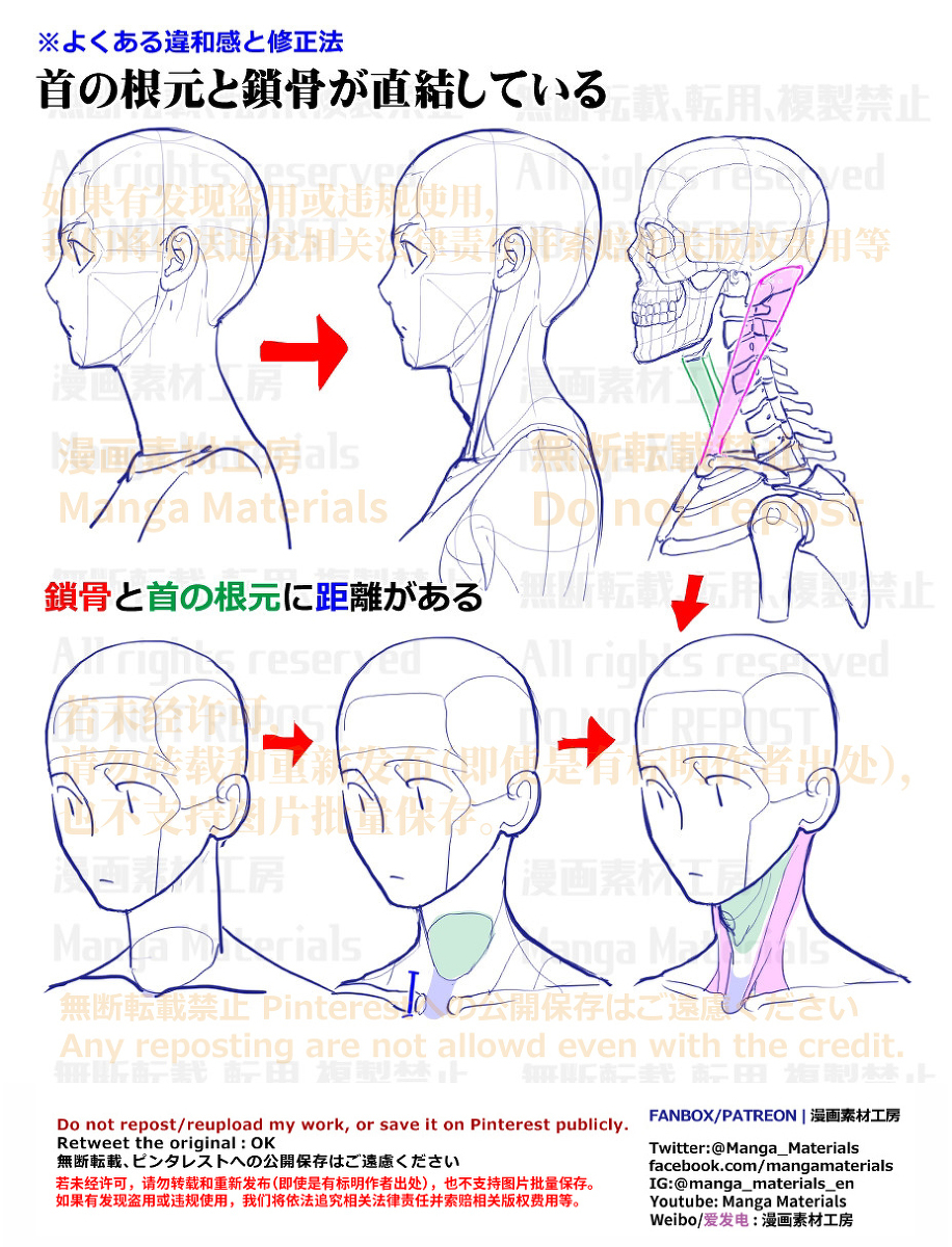 个人笔记: *锁*突肌