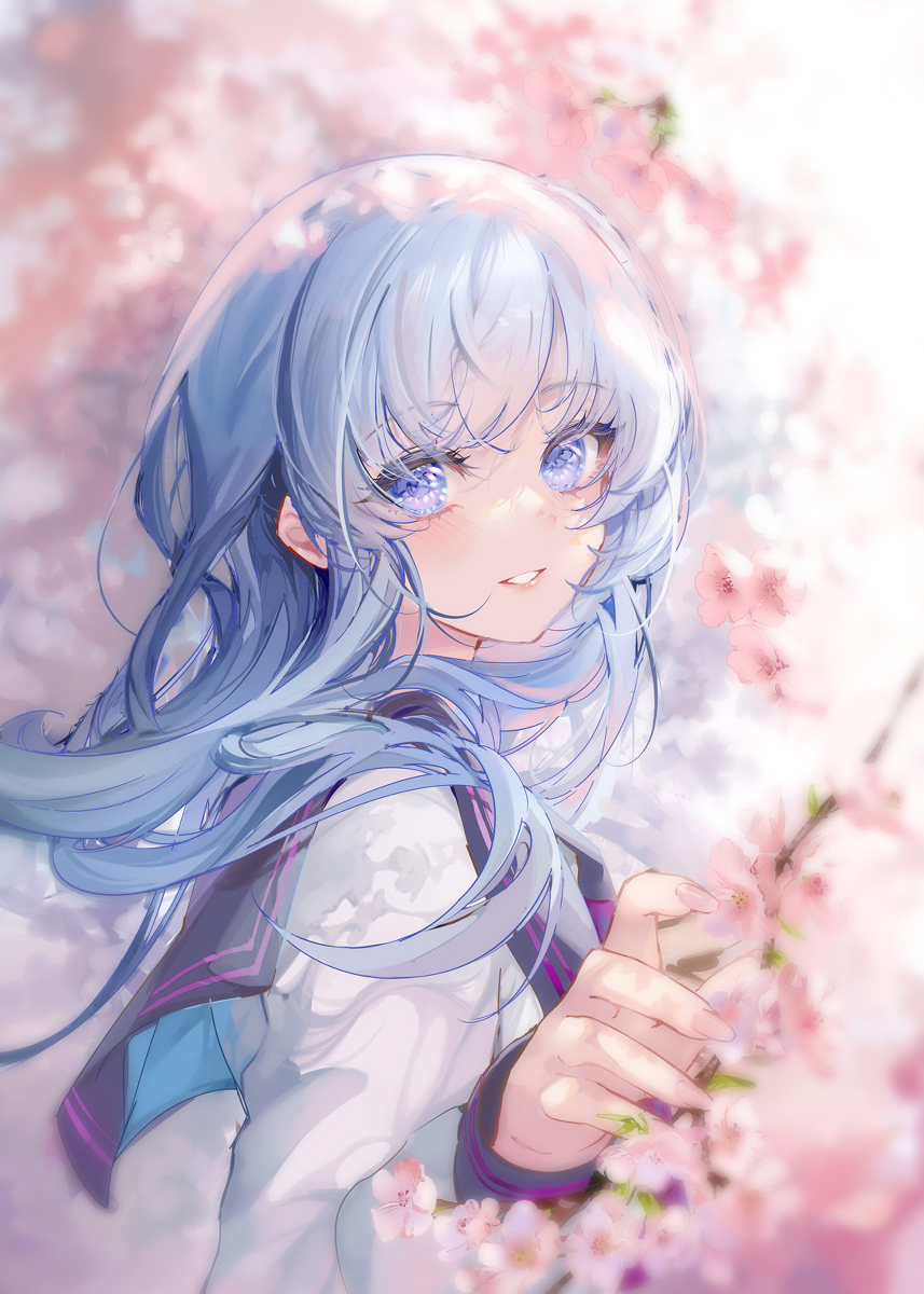樱花花瓣
