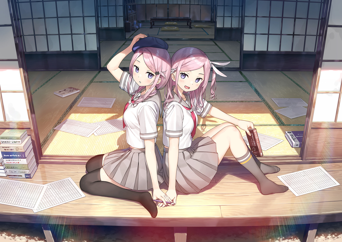 文学双胞胎