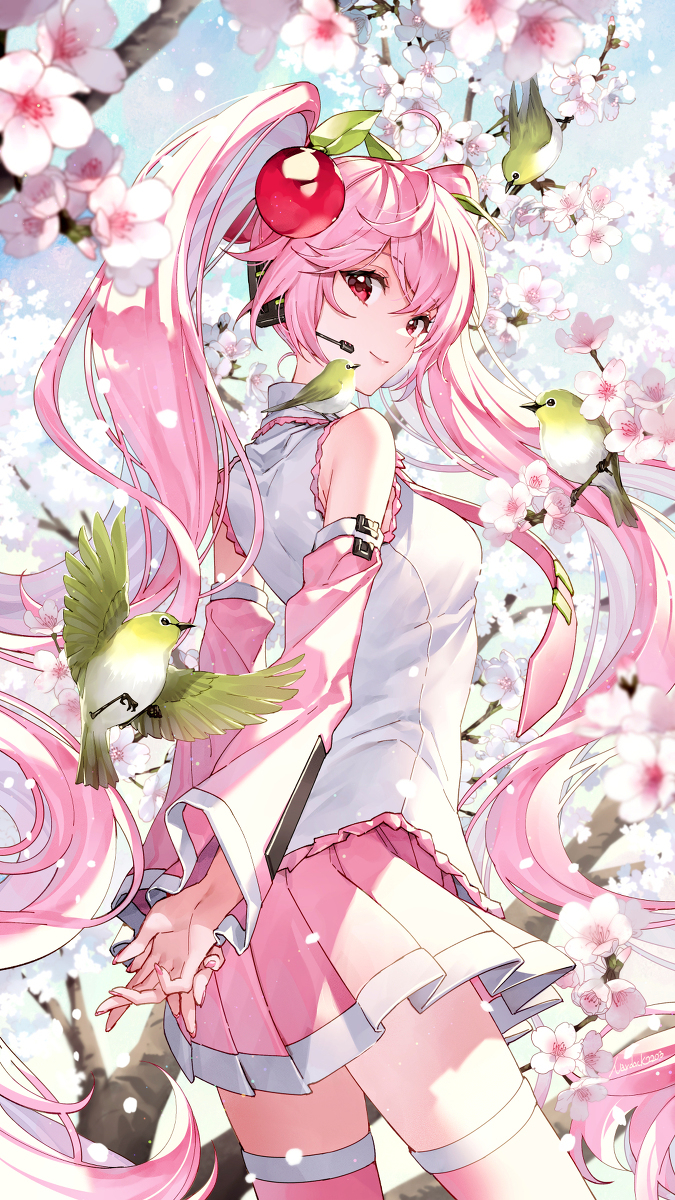 樱未来
