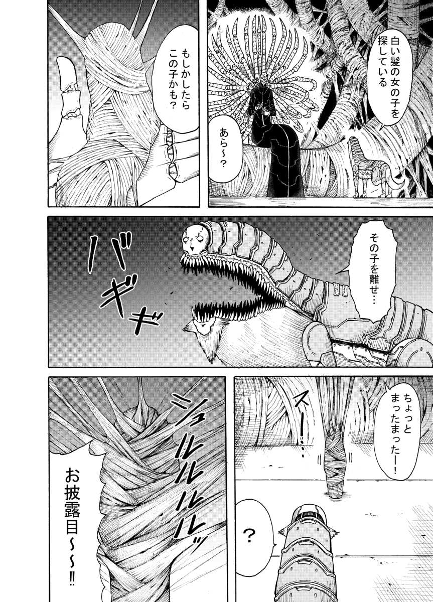 送狼、白色*和女郎蜘蛛