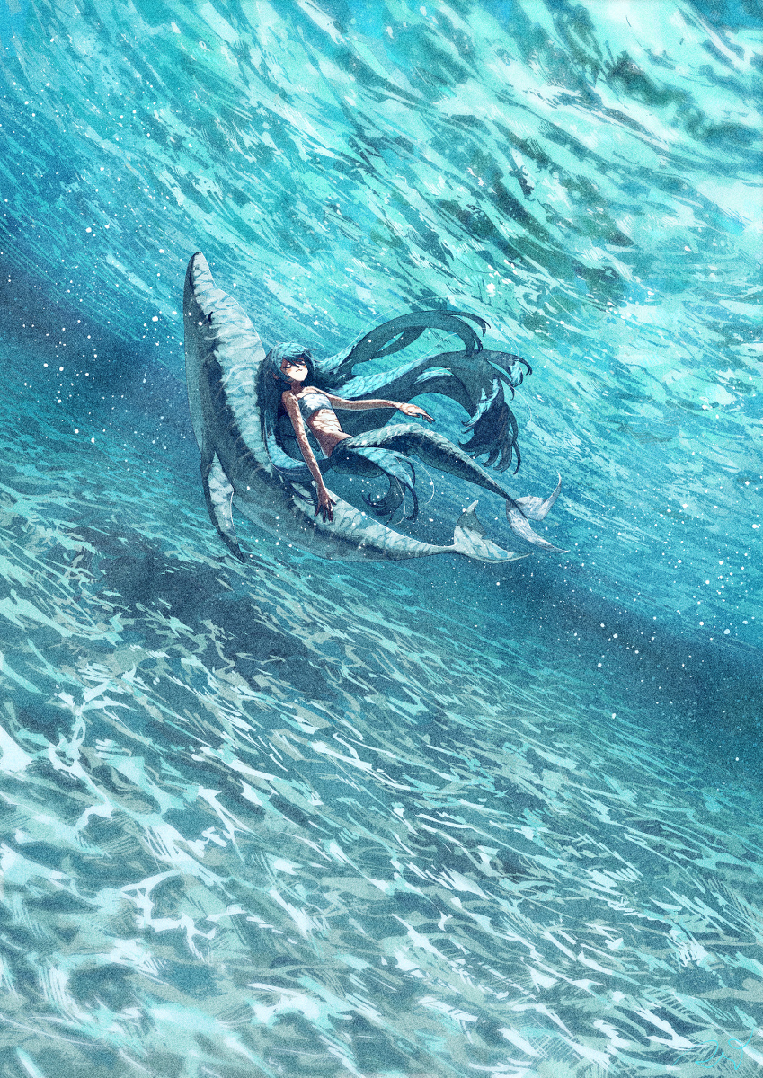 海豚背影
