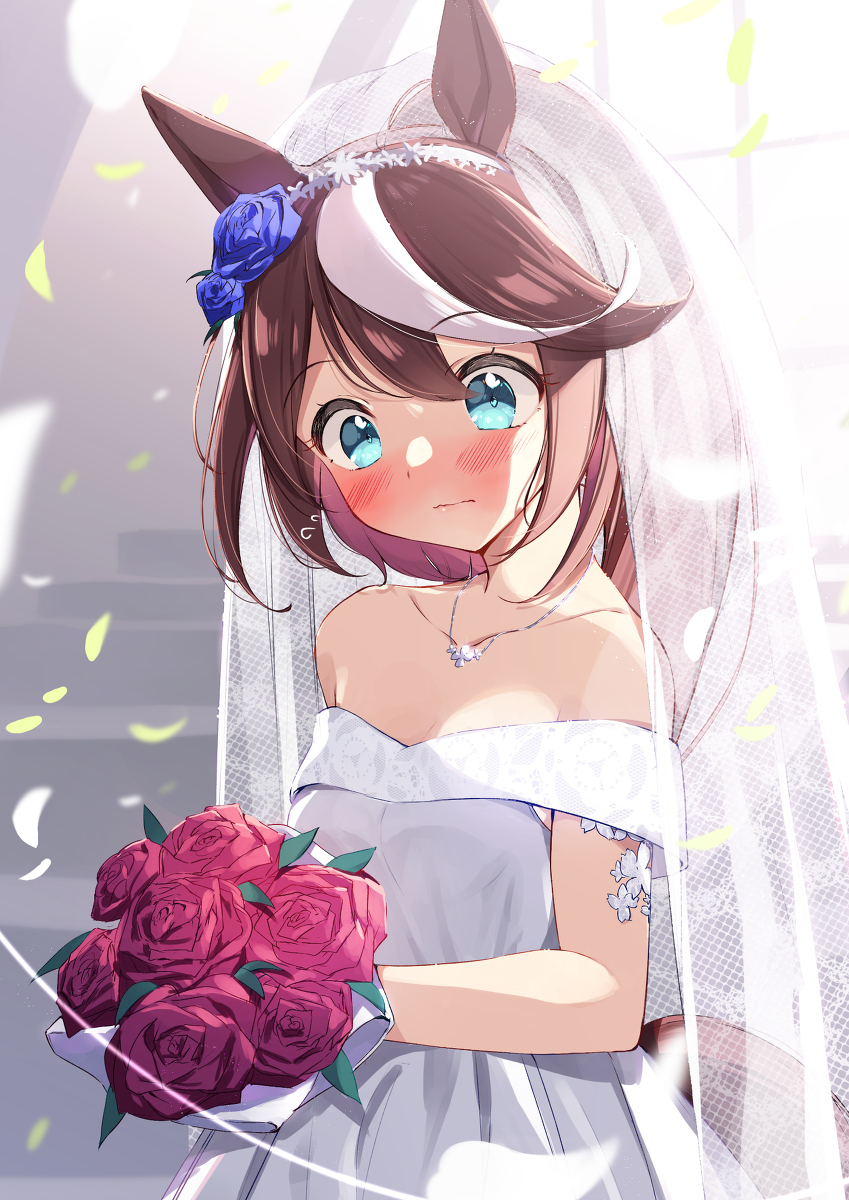新娘泰奥