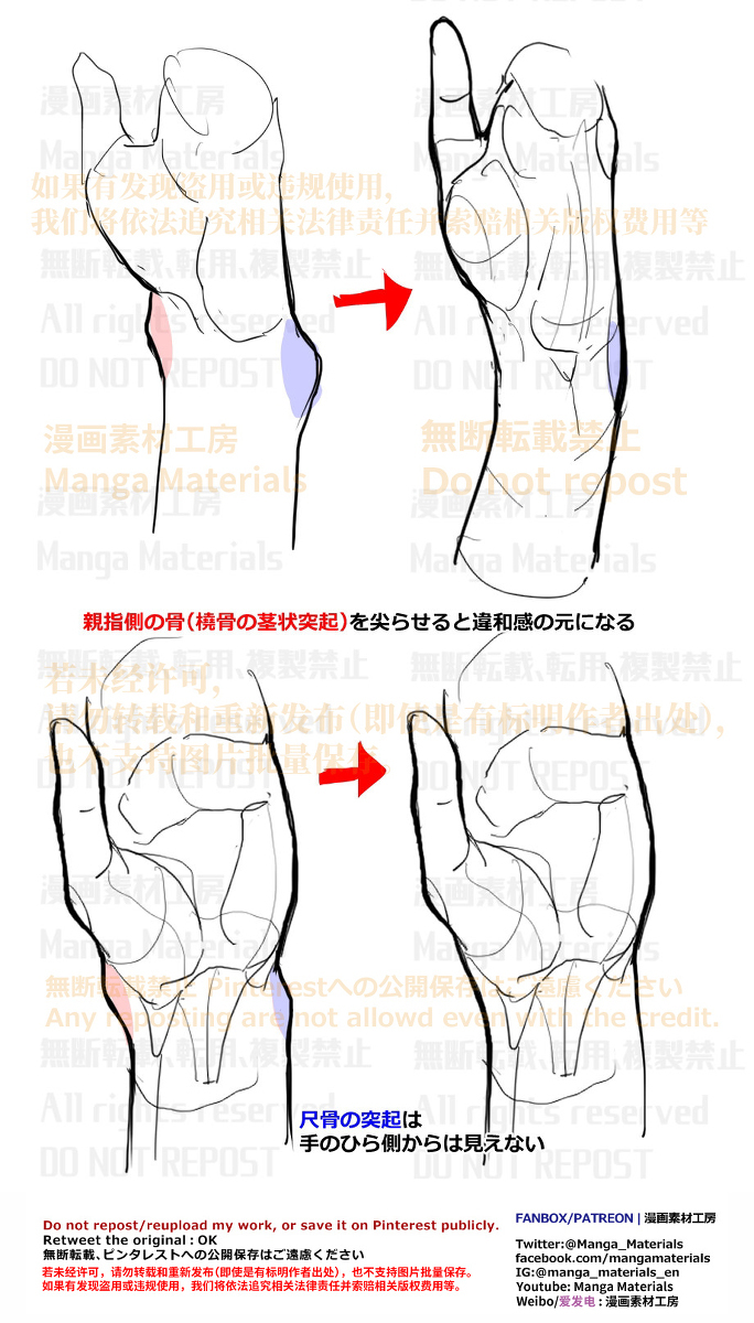 个人笔记: 桡骨茎状突起